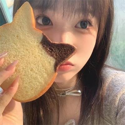 芬妮的勇敢旅程